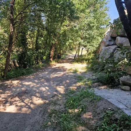 Cantinho Dos Sonhos * 카스트로다이레