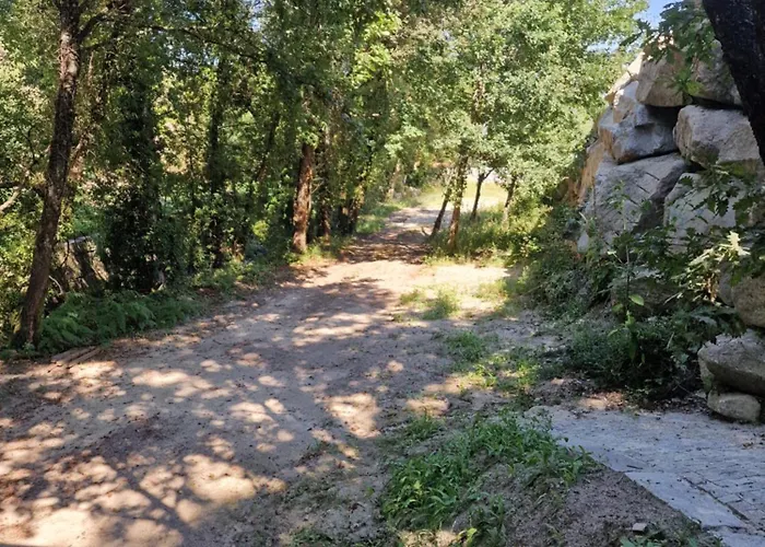 Cantinho Dos Sonhos * Castro Daire