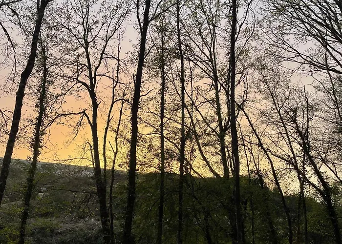 Cantinho Dos Sonhos Castro Daire